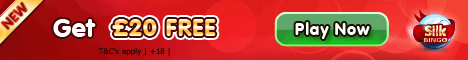 Play at Silk Bingo